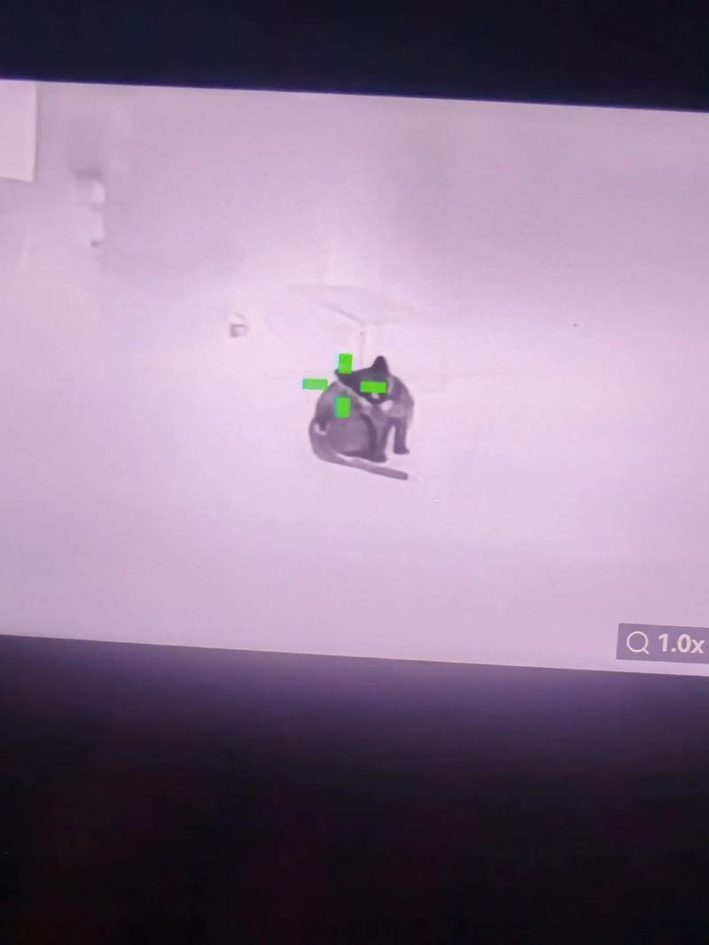 洋葱去味除甲醛吗